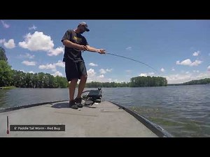 Michael Murphy - Reins Paddle Tail Worm