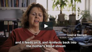 Laurie Garrett tells us the startling facts about zika and what it feeds on.
