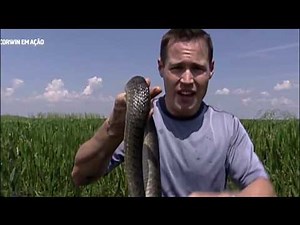 Jeff Corwin em Ação Explorando a Flórida