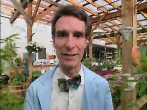 Bill Nye The Science Guy S01E14 - Structures