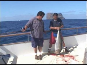 David Lands a Large Tuna on Dan Hernandez Fishing Charter