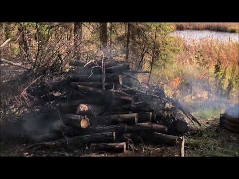 Fall BC Newfie Style Episode 2