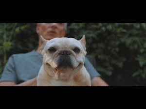 Asher Roth - Mommydog (Official Video)