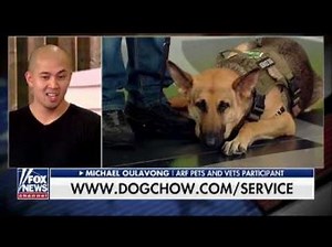 Marine veteran opens up about his gratitude for service dog