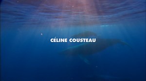 The TreadRight Foundation Ambassador, Celine Cousteau