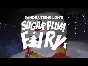 Sugar Plum Fairy starts Dec 1st.