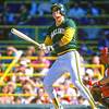 Jose Canseco makes pitch for chief of staff job in tweet to Trump