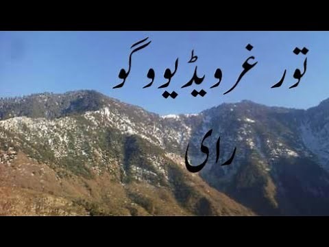 gul nazar pashto Tor Ghar songs