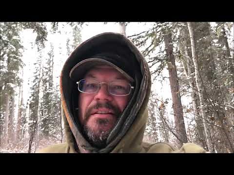 Winter - Bc Newfie Style Episode 1