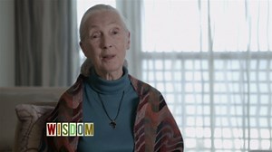 JANE_GOODALL_"WISDOM" on Fusion