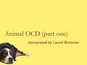 Animal OCD