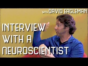 David Eagleman - Interview with a Neuroscientist