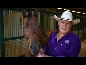 Terry Bradshaw Explains Why Your Horses Need Annual Vaccinations