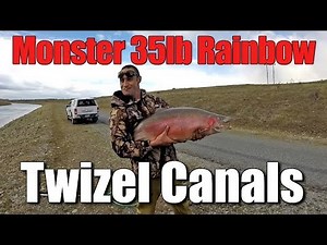 Enormous 35lb Rainbow Jack Trout - Twizel Canals