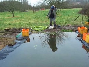 Adding plants to our new wild life pond