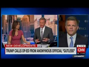 Rice University's Douglas Brinkley discusses anonymous NYT op-ed on CNN International (No.1)