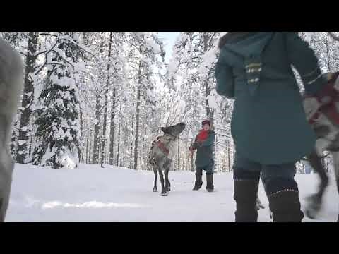 Matthew Perry's portable North Pole santa videos(2)