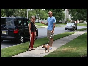 On leash greeting, starring Moonlight!