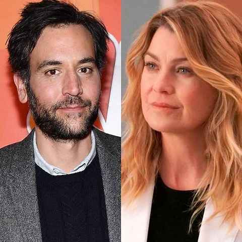 Fans Definitely Have Some Strong Feelings About Josh Radnor's Grey's Anatomy Debut