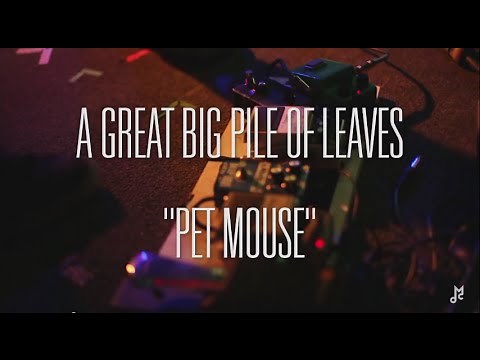 Chalk TV: A Great Big Pile of Leaves - "Pet Mouse"