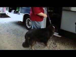 25 dogs 3 RVs and a long road trip - 2011-09-13