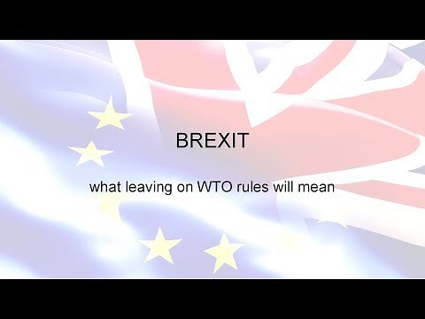 BREXIT: What leaving on WTO terms will mean