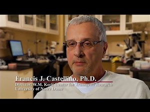 Frank Castellino, W.M. Keck Center for Tansgene Research