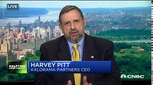 Harvey Pitt: Probable potential violations of law with Tesla