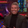 Lisa Vanderpump Has Volunteered to Be Andy Cohen's Baby's Fairy Godmother