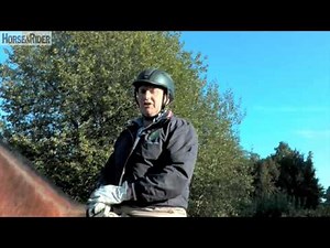 Matt Hicks | Shoulder in | HorseandRider UK