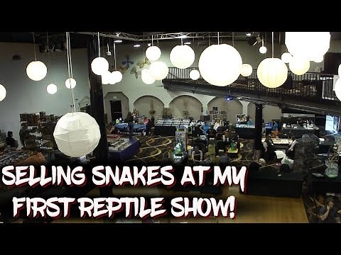 Selling Snakes at my First Reptile Show!