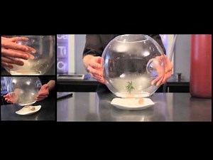 Levitating Biosphere with Ben Roche at Moto Restaurant