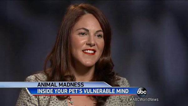 Can Animals Suffer From Mental Illness?
