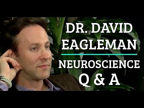 Dr. David Eagleman Neuroscience Q&A