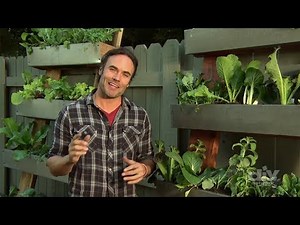 How to Make a Gutter Herb Garden - DIY Network