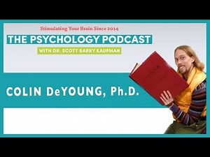 Cybernetics and the Science of Personality with Colin DeYoung