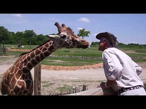 Jack Hanna's 40 years at the Columbus Zoo