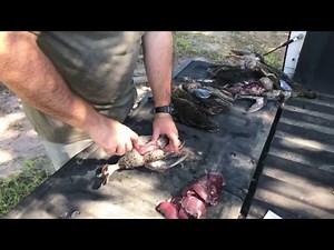 Hangout and Cleaning Teal with Justin Martin