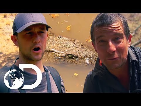 Joseph Gordon-Levitt Unexpectedly Runs Into A Huge Crocodile! | Running Wild With Bear Grylls