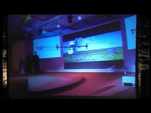 The next paradigm of transportation: Andreas Raptopoulos at TEDxKalamata