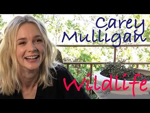 DP/30: Carey Mulligan, Wildlife