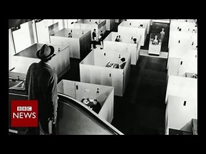 How did we end up working in cubicles? - BBC News