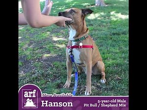 Now Available - Hanson