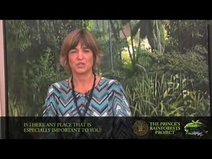 Rainforest Alliance's Tensie Whelan discusses rainforests and climate change