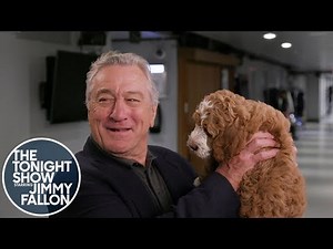 Robert De Niro Has Never Seen a Dog