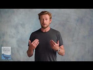 "So reckless, it's terrifying" - Simon Baker asks you to Fight For Our Reef