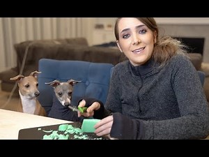 Cutting Soap For My Dog While He Wears A Turtleneck