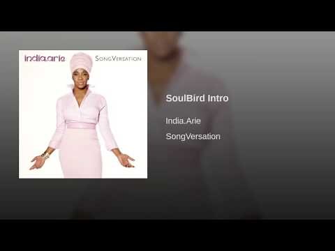 SoulBird Intro