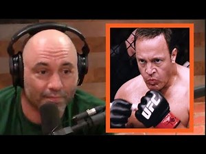 Joe Rogan - Kevin James Is a Legit Martial Artist