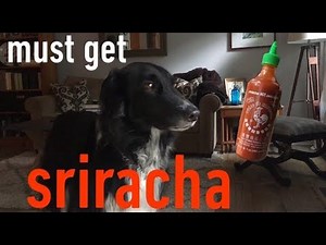 the thing about sriracha